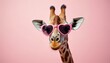 © Viktor - Giraffe wears pink heart sunglasses on plain pink background. This playful, stylish animal portrait conveys fun, fashion, and a sense of love or admiration.