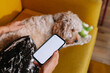 © Ani Dimi/Stocksy - Mockup up phone in hands