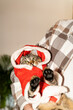 © Alba Vitta Studio/Stocksy - Cat dressed as Santa