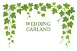 © PerfectPhoto - Green ivy vine garland decorating a wedding frame