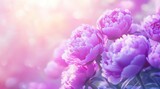 Romantic close-up of vibrant purple peonies in dreamy soft light