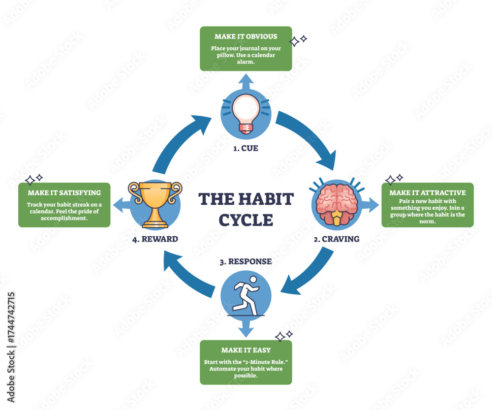 Habit cycle diagram shows cue, craving, response, and reward stages ...