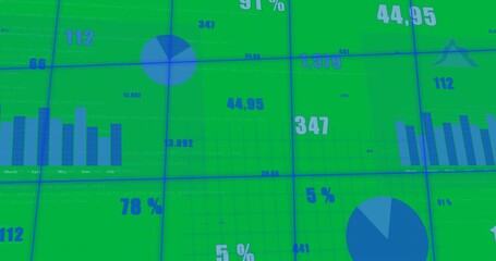 Wall Mural - Animation of financial data processing on transparent background