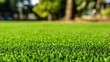 © yu - synthetic. Close-up of lush green artificial grass with a softly blurred background. travel magazines, destination branding, designed for travel destination branding, elevates destination branding.