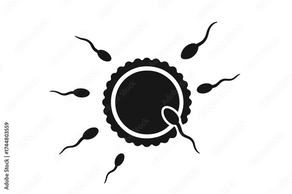 Medical Conceptions Icon Conception icon. Ovum fertilization by sperm. Human reproduction and ...