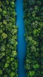 © Shipons Creative - Aerial view vibrant blue river winds through a dense, lush, vibrant green forest