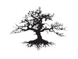 © beauti - Majestic Gnarled Tree With Intricate Root System Silhouette