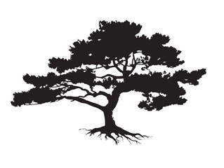  Stunning Pine Tree with Exposed Roots 2D Vector Line Art