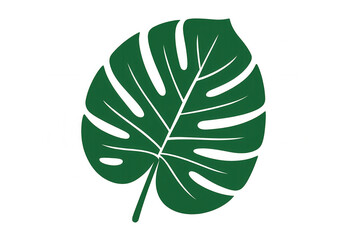 Wall Mural - Tropical monstera leaf illustration on a transparent background, depicting a plant, nature, and botanical theme