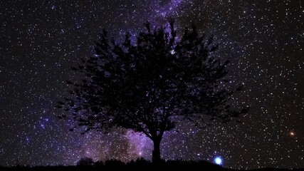Wall Mural - Milky Way stars on a dark countryside skies. Time-lapse video.