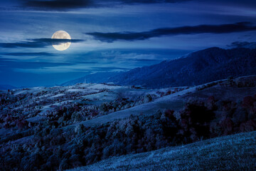 Wall Mural - mountain landscape in autumn at night. beautiful view with trees in colorful foliage. picturesque rural place in alps in full moon light. countryside scenery