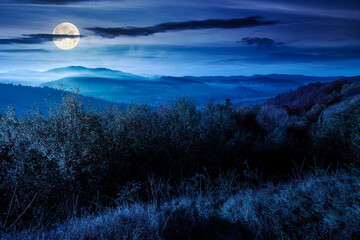 Wall Mural - view from a mountain in to the foggy valley at night. beautiful autumn landscape. forested hills in full moon light. picturesque alpine countryside scenery