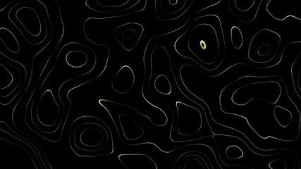 Wall Mural - Abstract black background with wavy gold lines motion. Flat layout with smooth lines on black background. Loop dark footage