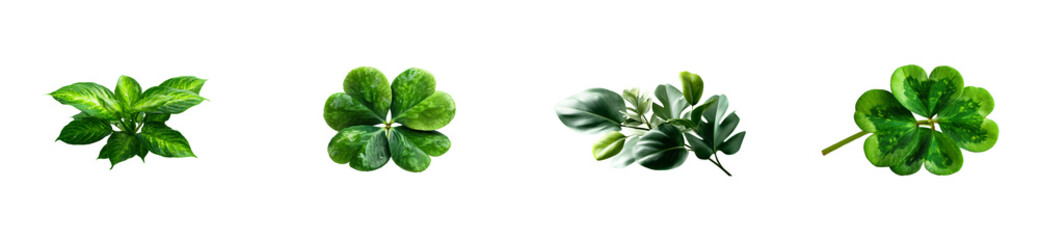Wall Mural - Set of Variety of lush green leaves presented against a stark