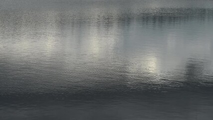 Wall Mural - Looking at the water with small ripples reflecting a gray sky with white clouds and distorted tree reflections
