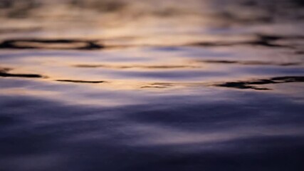 Wall Mural - abstract patterns of water ripples on a calm surface reflect the fading light of dusk, captured with