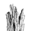 © Muhammad - Detailed black and white drawing of driftwood log for nature illustration and design projects use, vector art