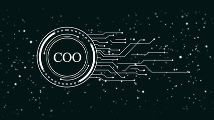 Wall Mural - Futuristic digital H U D circle with C O abbreviation and abstract data streams on a dark starry background representing technology innovation corporate leadership and business