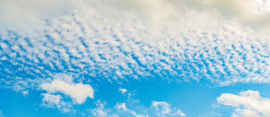 Wall Mural - Cloudy atmospheric backdrop. Morning sky with cloud. Sky and cloud formation. Weather cloudscape. Sky filled with cloud. Overcast scene. Cloudy sky gradient. Cloud drifting