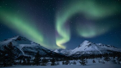Wall Mural - ethereal aurora borealis lights flaring and dancing across a night sky timelapse borealis, dreamlike