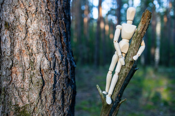 Wall Mural - A wooden figure is sitting on a tree branch in a forest