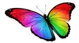 Einzigartiger Regenbogen Schmetterling leuchtet hell auf wei�em Untergrund strahlend als Symbol f�r Vielfalt und Wandel. AI Generated