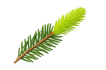 Wall Mural - Fir tree new growth branch with bright green spring needles against transparent background
