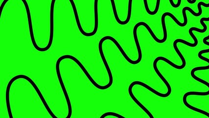 Wall Mural - Animated black decorative wavy lines is drawn. Linear background. Looped video. Vector illustration isolated on green background.