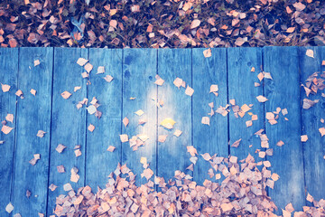 Wall Mural - background, autumn fallen yellow leaves on an old wooden board surface, abstract October background for a frame