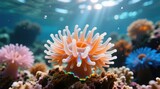  an anemone on a coral reef in an aquarium, surrounded by other sea anemones and water plants The background is slightly blurred, giving the image a dreamy, etherea
