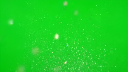 Wall Mural - dynamic burst of iridescent glitter particles exploding upwards on a vibrant green screen, ideal as 
