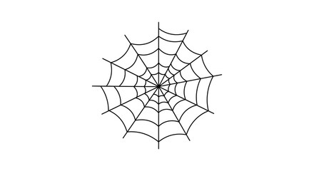 Intricate hand drawn spiderweb pattern detailed fine lines delicate organic design element for creative projects silhouette