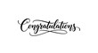 © AgnaPutri - Elegant black cursive calligraphy text that says 'Congratulations' on a white background.