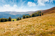 © Pellinni - calm autumn day in carpathian mountains. deciduous trees on the grassy hills of krasna ridge. sunny scenery of transcarpathia in fall season under blue sky with clouds. beauty in nature concept