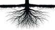© vector - A detailed silhouette of tree roots isolated on white background, showcasing the intricate network and underground support system of a mature tree