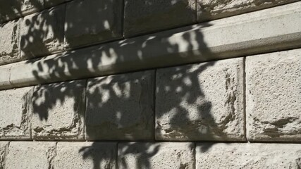 Wall Mural - Hypnotic timelapse of dappled tree shadows slowly sweeping and morphing across a textured architectural wall surface, shifting, loop