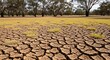 © Hdhxg - Cracked Earth Landscape - A Parched Field Under the Australian Sun.