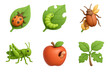 © Fortune228 - Pest Icon Set. Pest-related diseases set of icons in 3D color style: insect on leaf, caterpillar damage, beetle on crop, locust, worm in fruit, chewed
