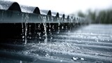 Rain on the Corrugated Iron Roof: The rain cascades down the corrugated iron roof, forming droplets that reflect the grey sky above.