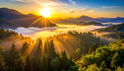 Wall Mural - Stunning sunrise over misty mountains with vibrant rays illuminating lush forests and valleys