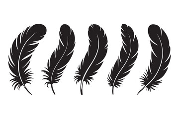 Set of five black feather silhouettes isolated on white background minimalist style
