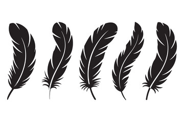 Set of five black feather silhouettes isolated on white background minimalist style
