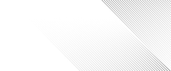 Wall Mural - Vector abstract gray lines pattern geometric dynamic lines background design.