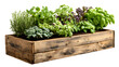 © Shamsul - Wooden raised bed filled with various vegetables and herbs planter with isolated on a transparent background