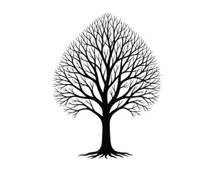 Bare tree Silhouette its intricate branches reaching towards the sky