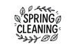 © Felie - Spring cleaning hand drawn lettering. Vector typography quote with leaves. Modern calligraphy phrase for seasonal design. Cute cartoon illustration isolated on transparent background.
