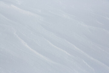 Wall Mural - Beautiful winter background with snowy ground. Natural snow texture. Wind sculpted patterns on snow surface.
