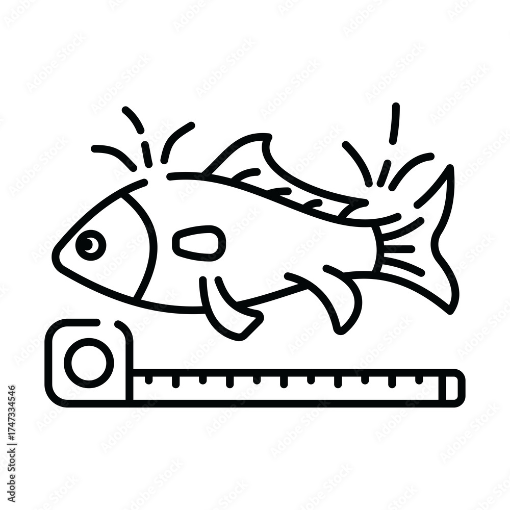 Illustration Stock Outline Illustration of a Fish Being Measured by a ...