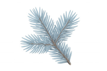 Wall Mural - Evergreen spruce branch with blue needles covered in frost, adding a winter decoration element on transparent background