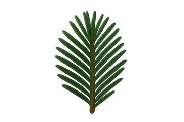 Wall Mural - Spruce fir pine branch with green needles, evergreen sprig, holiday decoration, transparent background